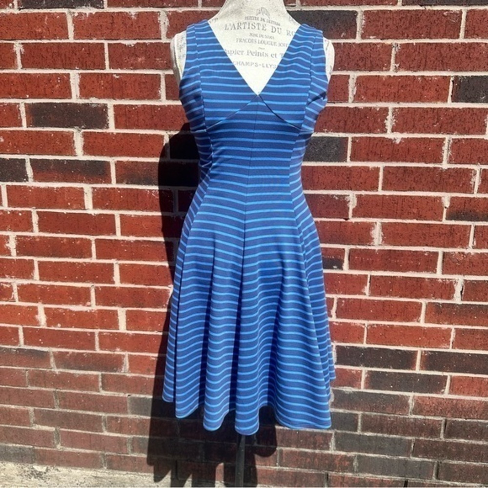 Peter Som Blue and White Striped Midi Dress PM5